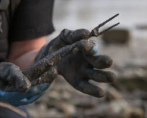 Mudlarking, African Women in Tudor England, a