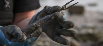 Mudlarking, African Women in Tudor England, and More at London Museum Docklands