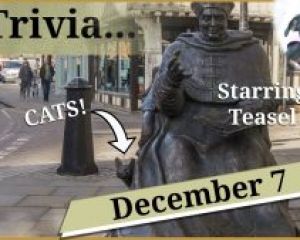 7 December - Tudor cats