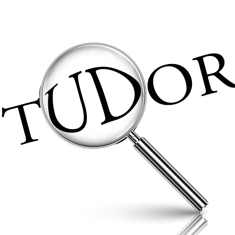 Where Does The Name Tudor Come From The Tudor Society
