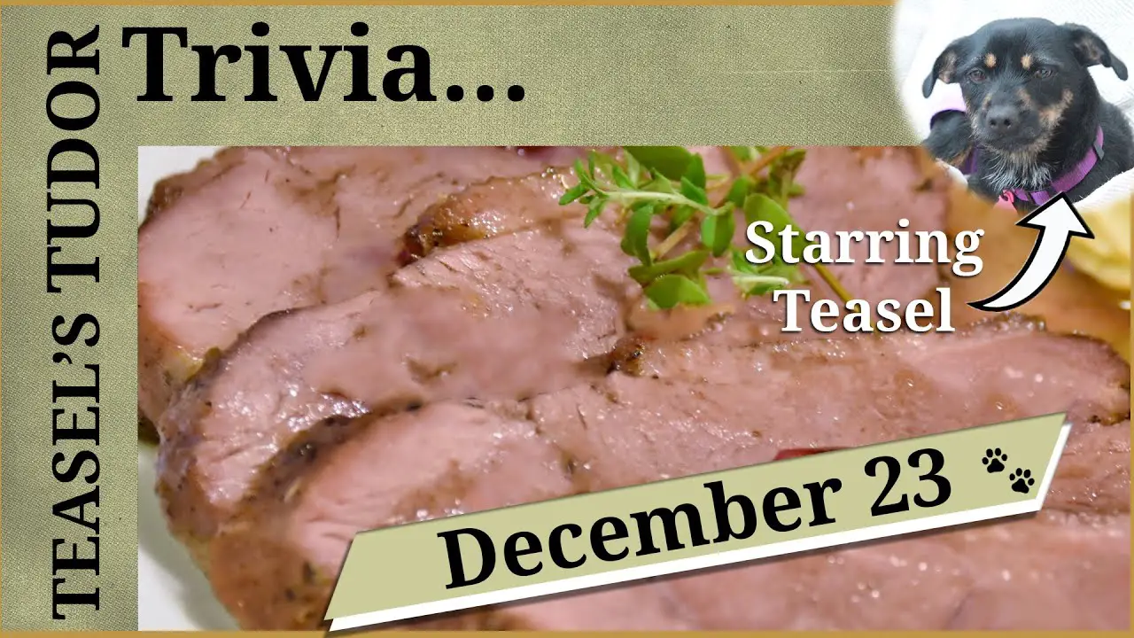 Teasel's Tudor Trivia 23 December What meat did Tudors eat on