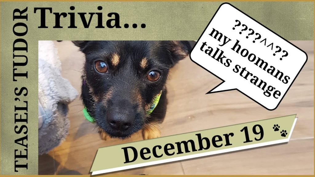Thumbnail image from my 19th December Teasel's Tudor Trivia video