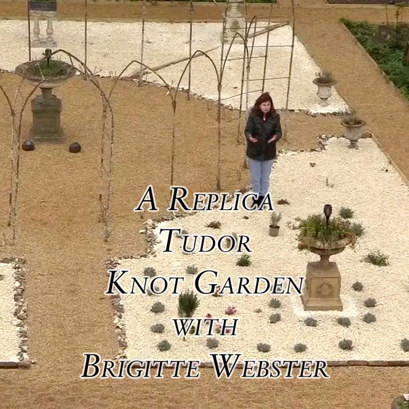 Discover a Replica Tudor Knot Garden Brigitte ster The Tudor Society