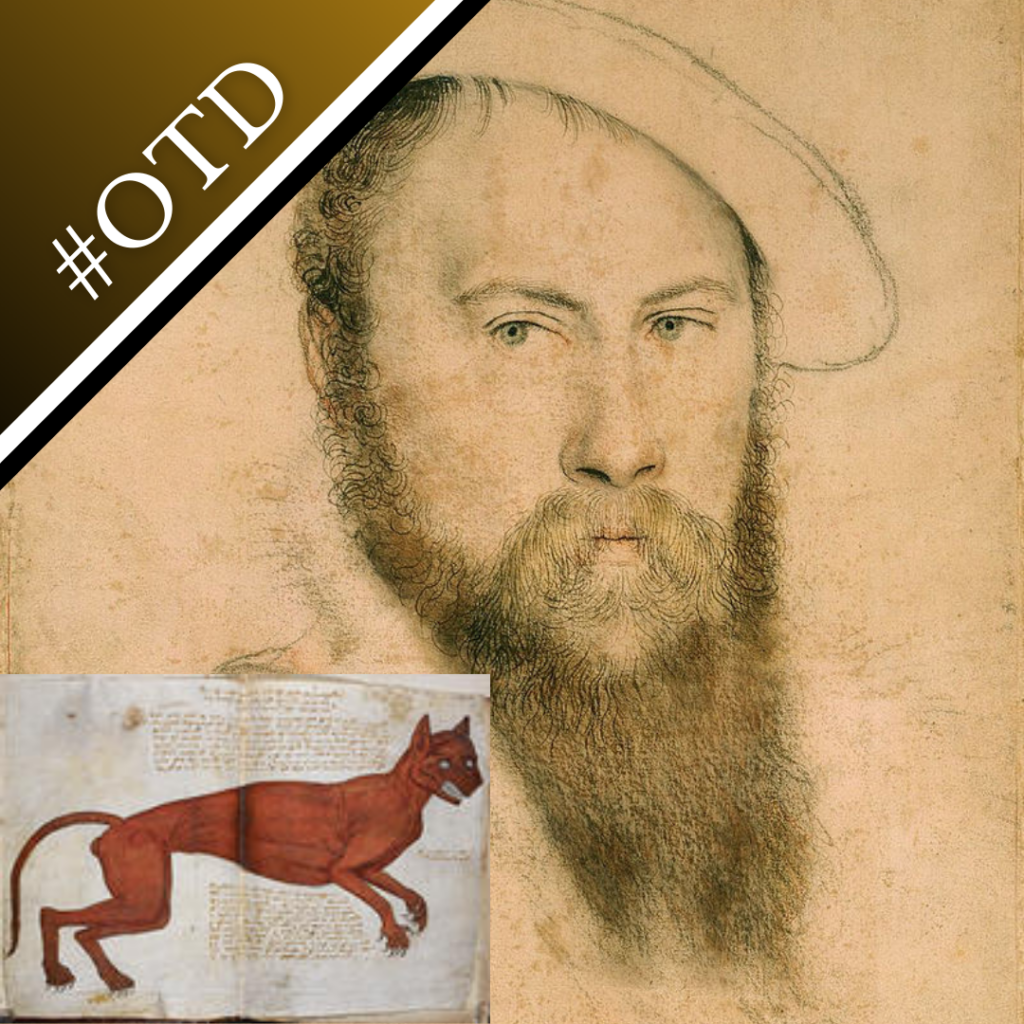 A portrait of Sir Thomas Wyatt the Elder by Holbein, and a sketch of Agnes Bowker's cat