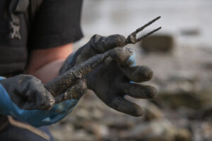 Mudlark finds a fork